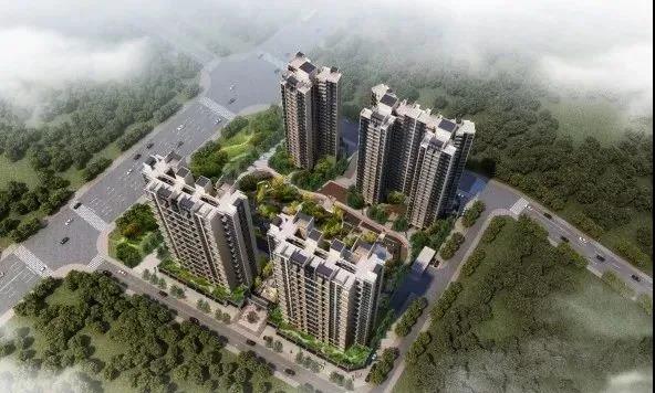 1617009133816958.jpg 7.jpg